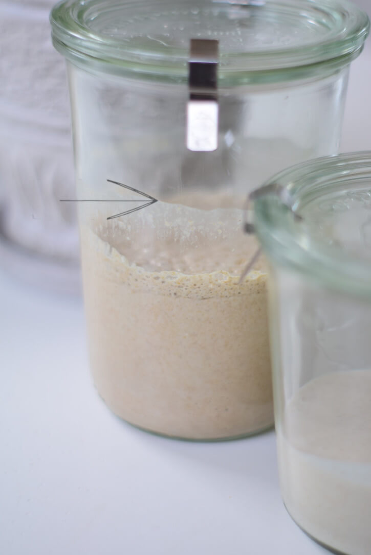 Glass jar with a sourdough starter to show the height on which it peaked