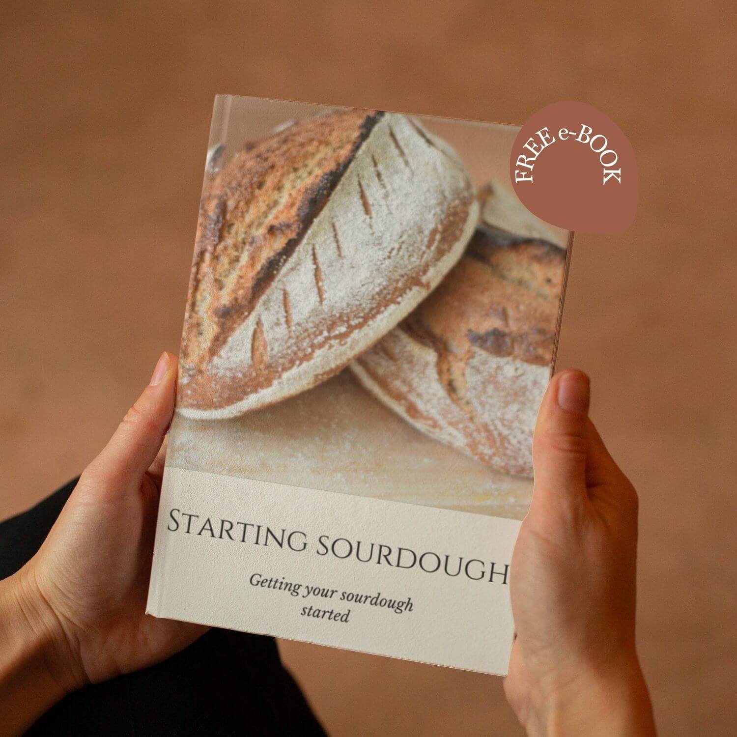 Two hands holding the "Starting Sourdough" book against a rust colored background
