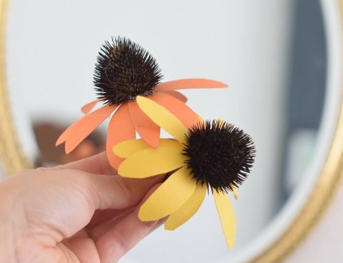 Coneflower Fall Craft: Creating Paper Coneflowers with Echinacea Purpurea