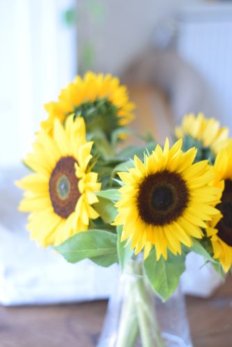 Sunflowers in a glass vase
