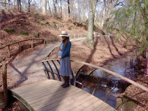 Pregnant lady on a bridge in an autumn setting