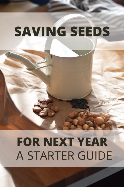 White watering can on brown paper with several dried seeds