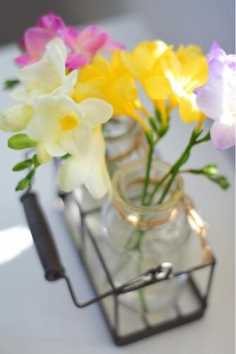 How to enjoy Homemaking Colored freesia flowers in a metal rack.