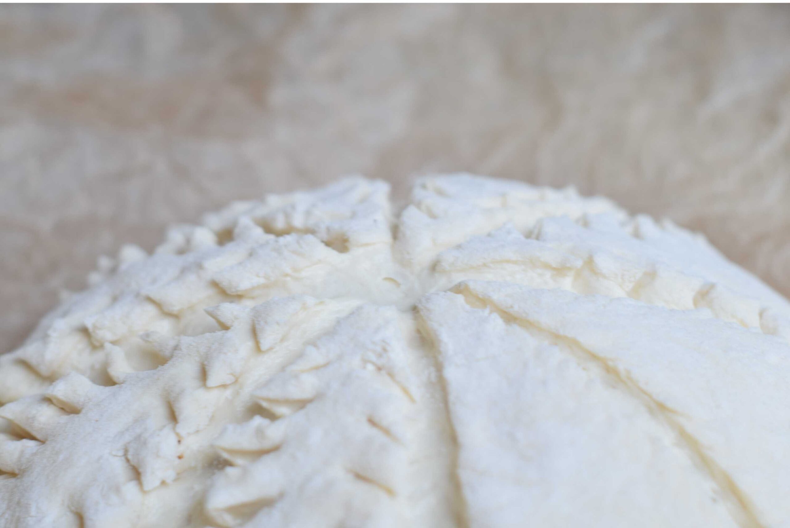 A round loaf of spelt bread with a decorative spruce-patterned scoring design, dusted with flour and resting parchment paper